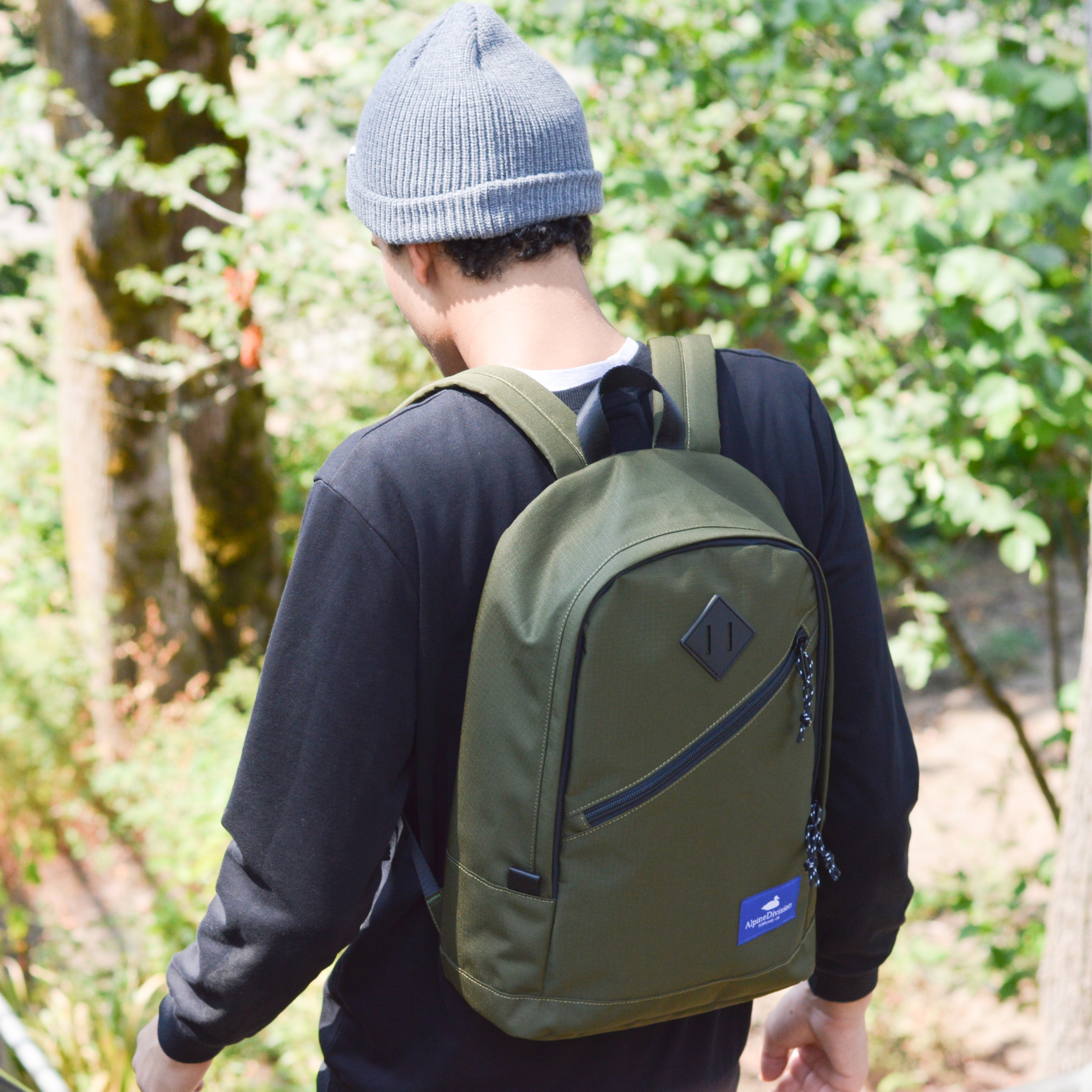Alpine division eliot ripstop backpack sale