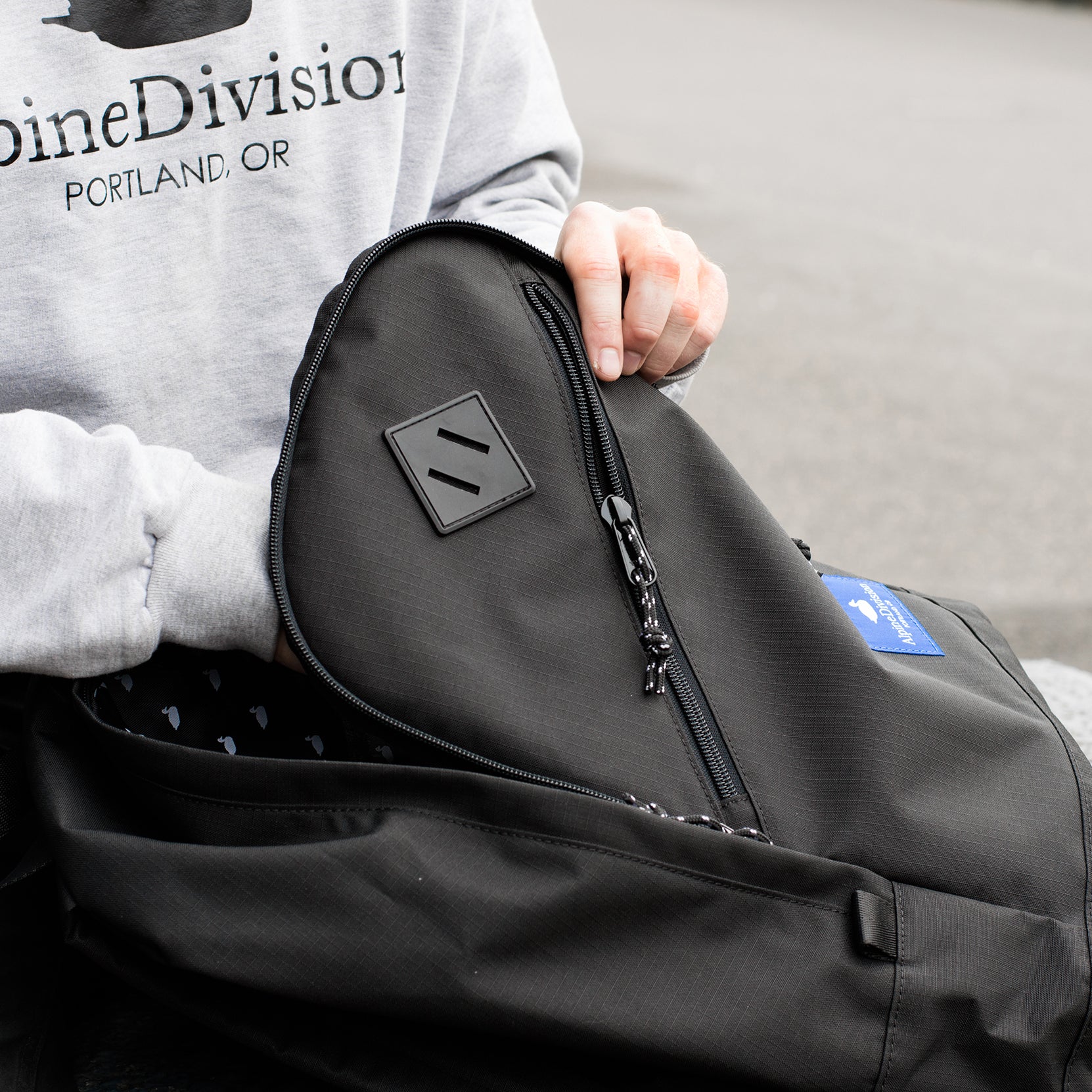 Alpine division on sale eliot ripstop backpack