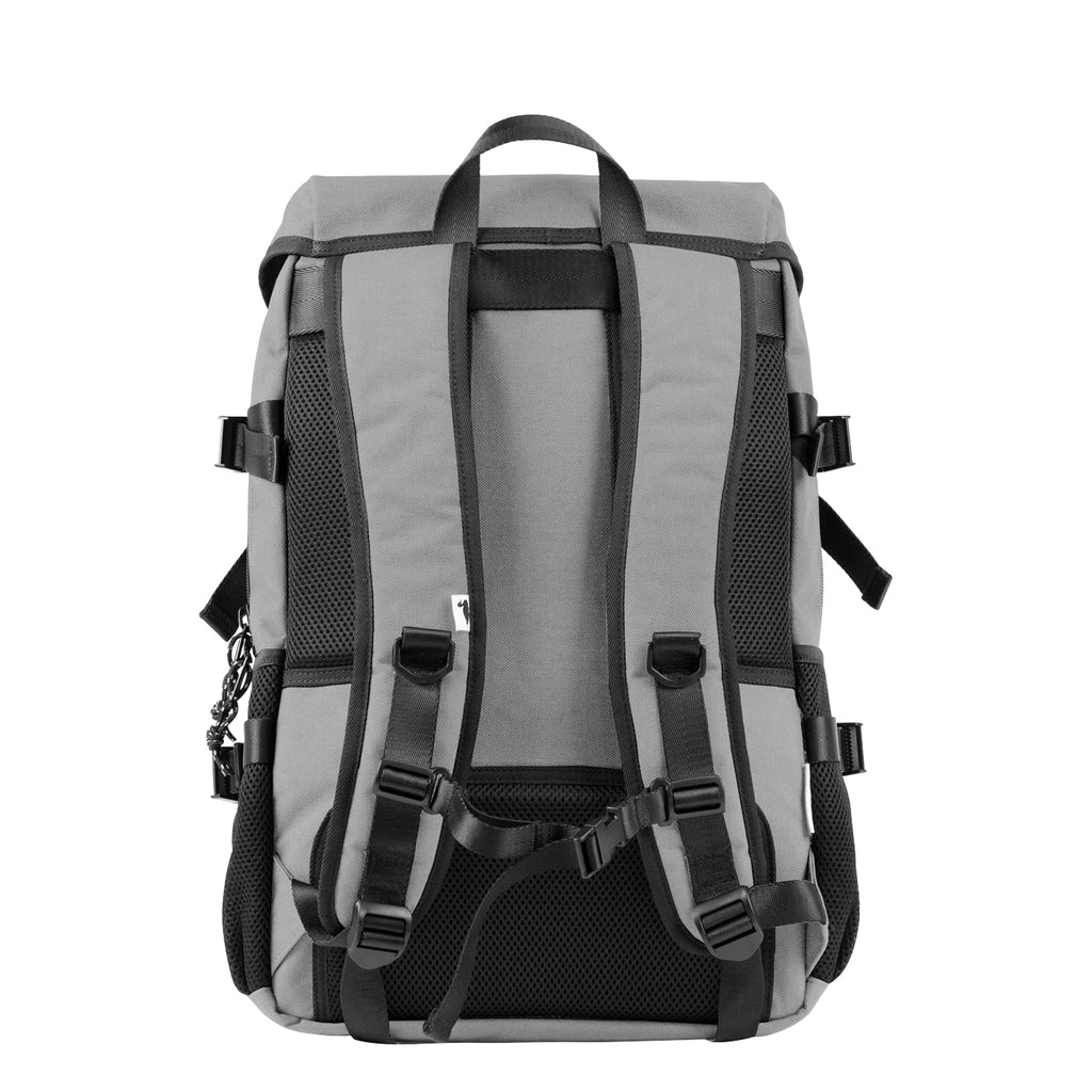 Alpine Division Grey Timberline Backpack Back