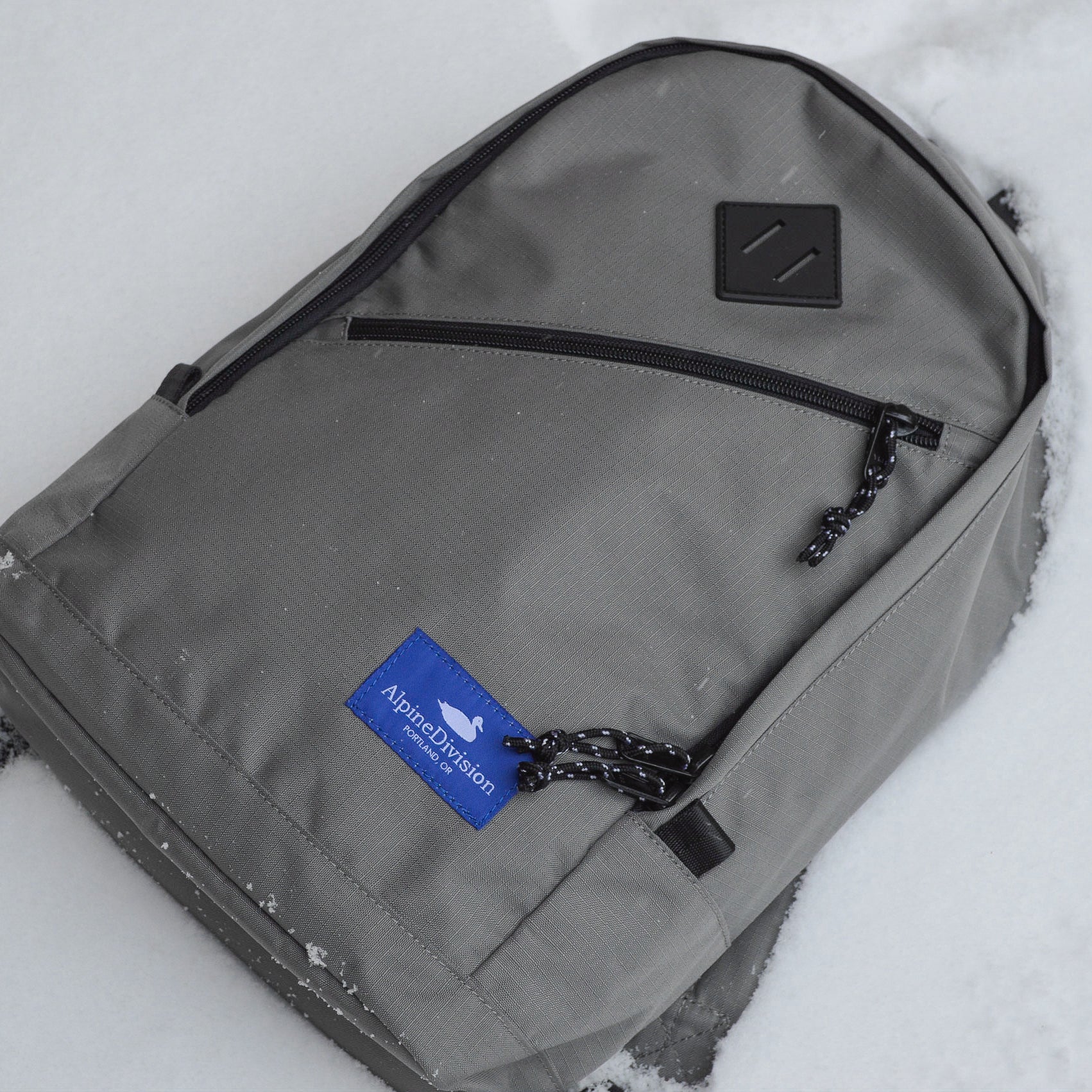 Alpine division on sale eliot ripstop backpack